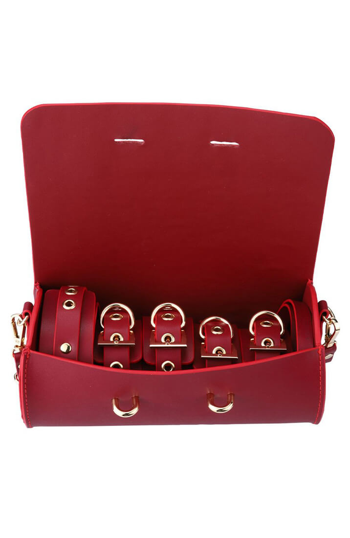 BDSM Deluxe 5 Item Kit - purse