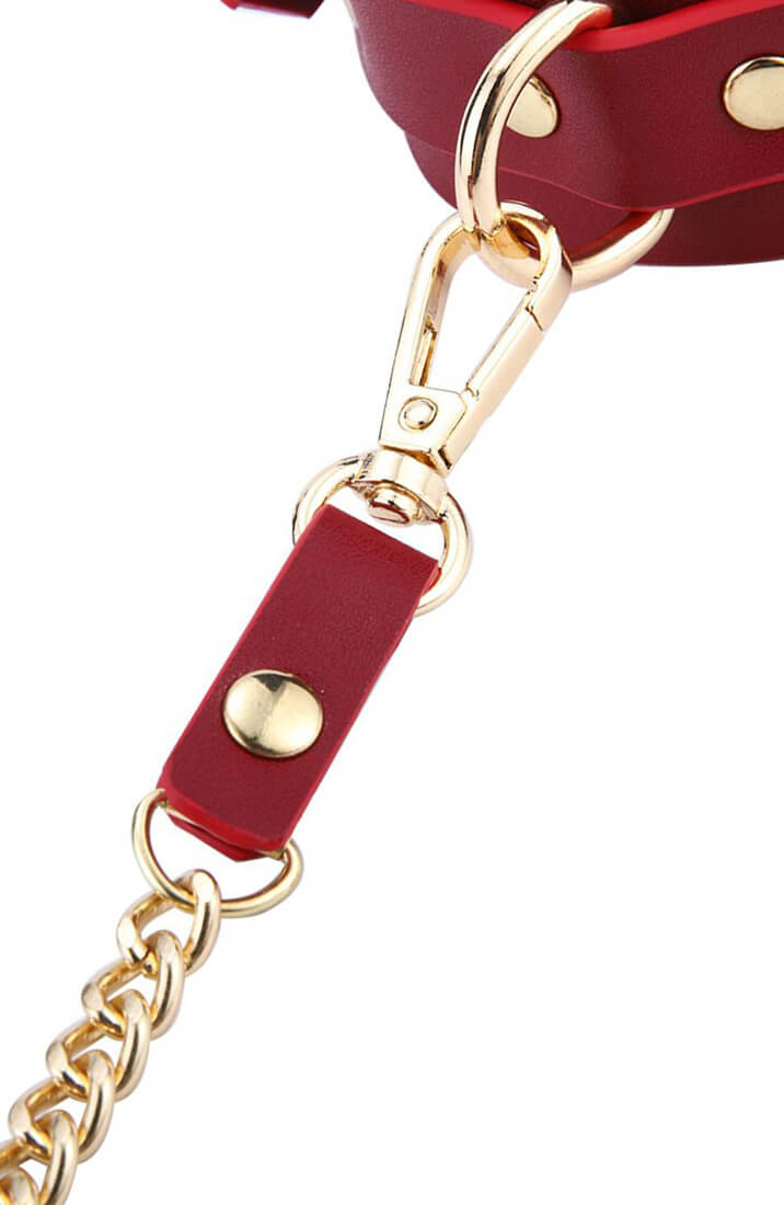 BDSM Deluxe 5 Item Kit - Red - chain leash