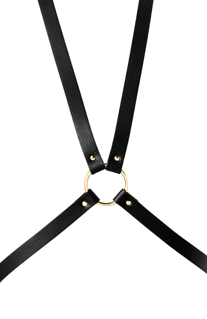 Body harness close-up detail