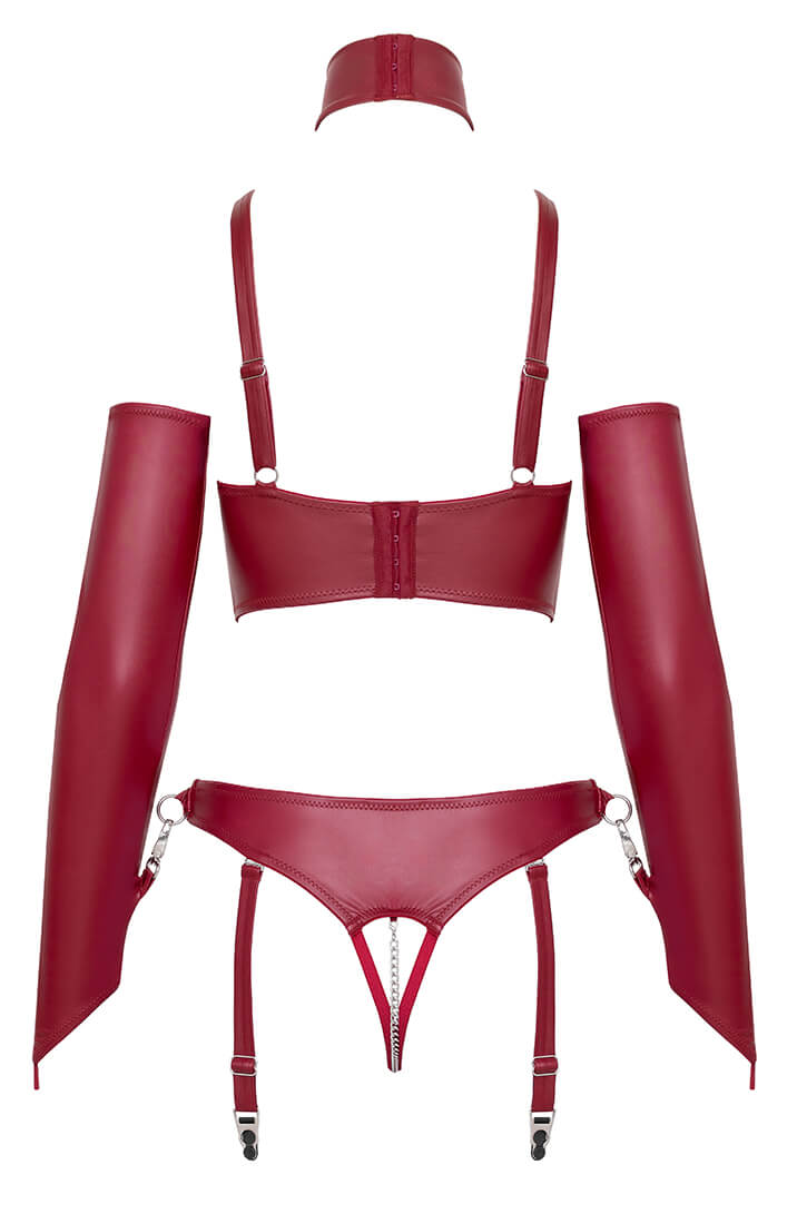 Dark red wetlook fetish lingerie with O-ring choker and silver-tone hardware