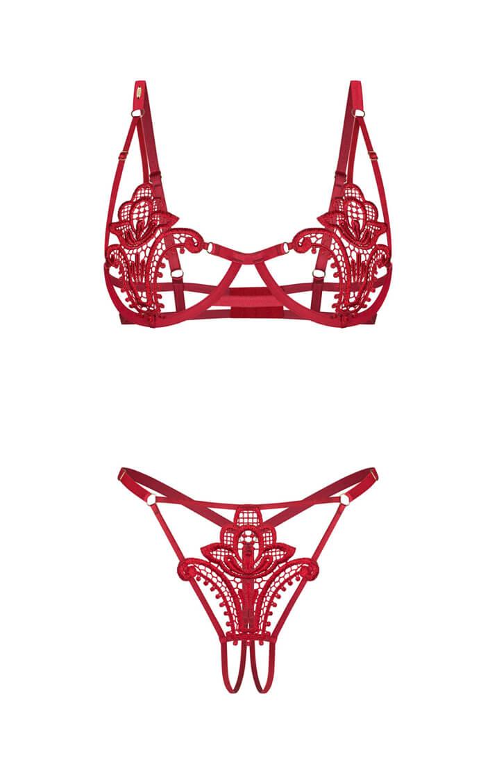 Two-piece red lingerie set with revealing cutouts and delicate floral lace