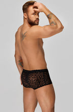 Load image into Gallery viewer, Boxer shorts with leopard flock embroidery