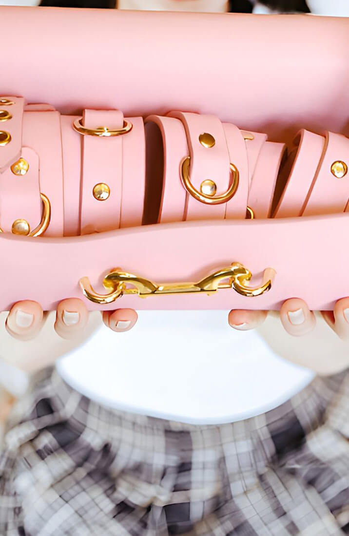 BDSM Deluxe 5 Item Kit - Pink - purse