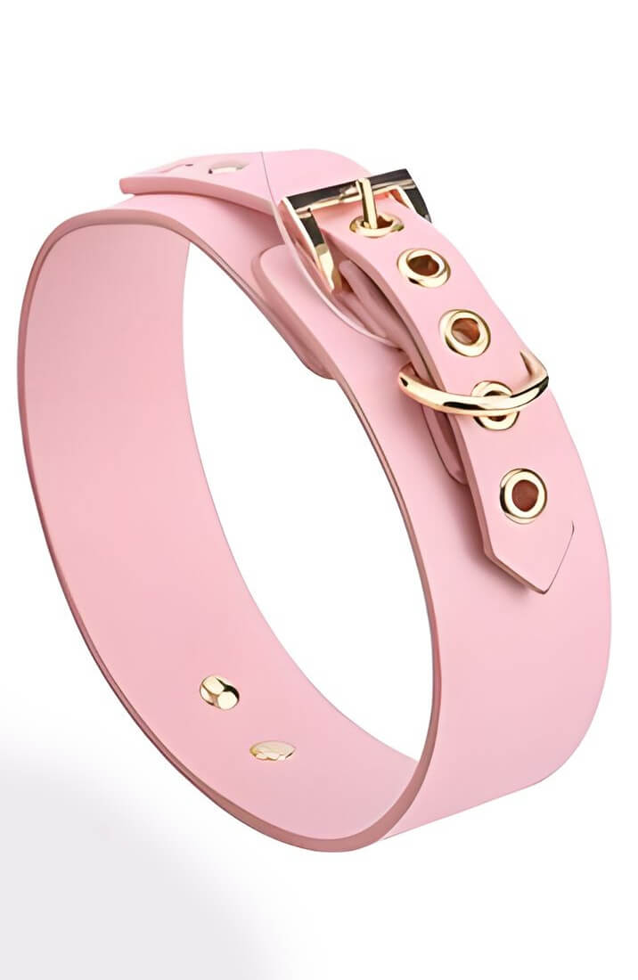 COAX Copenhagen pink bondage kit with choker and leash