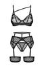 Dotted sheer black mesh lingerie set