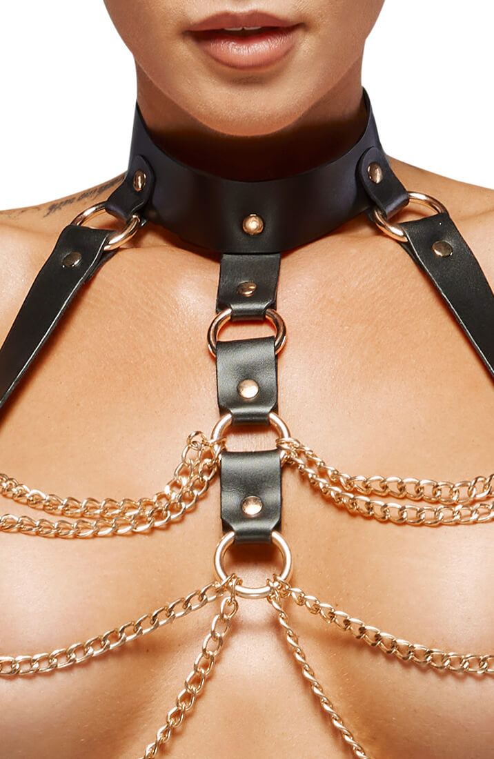 Leather X gold harness lingerie set