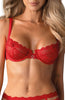 Red 3 pc lingerie set