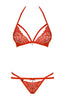 Sexy red lace bra & panty set