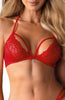 Sexy red lace bra & panty set