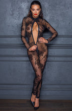 Load image into Gallery viewer, Sheer black mesh catsuit with flock embroidery